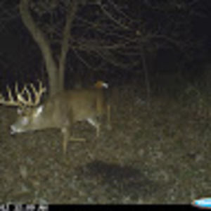 Meet your Posher, Cameron